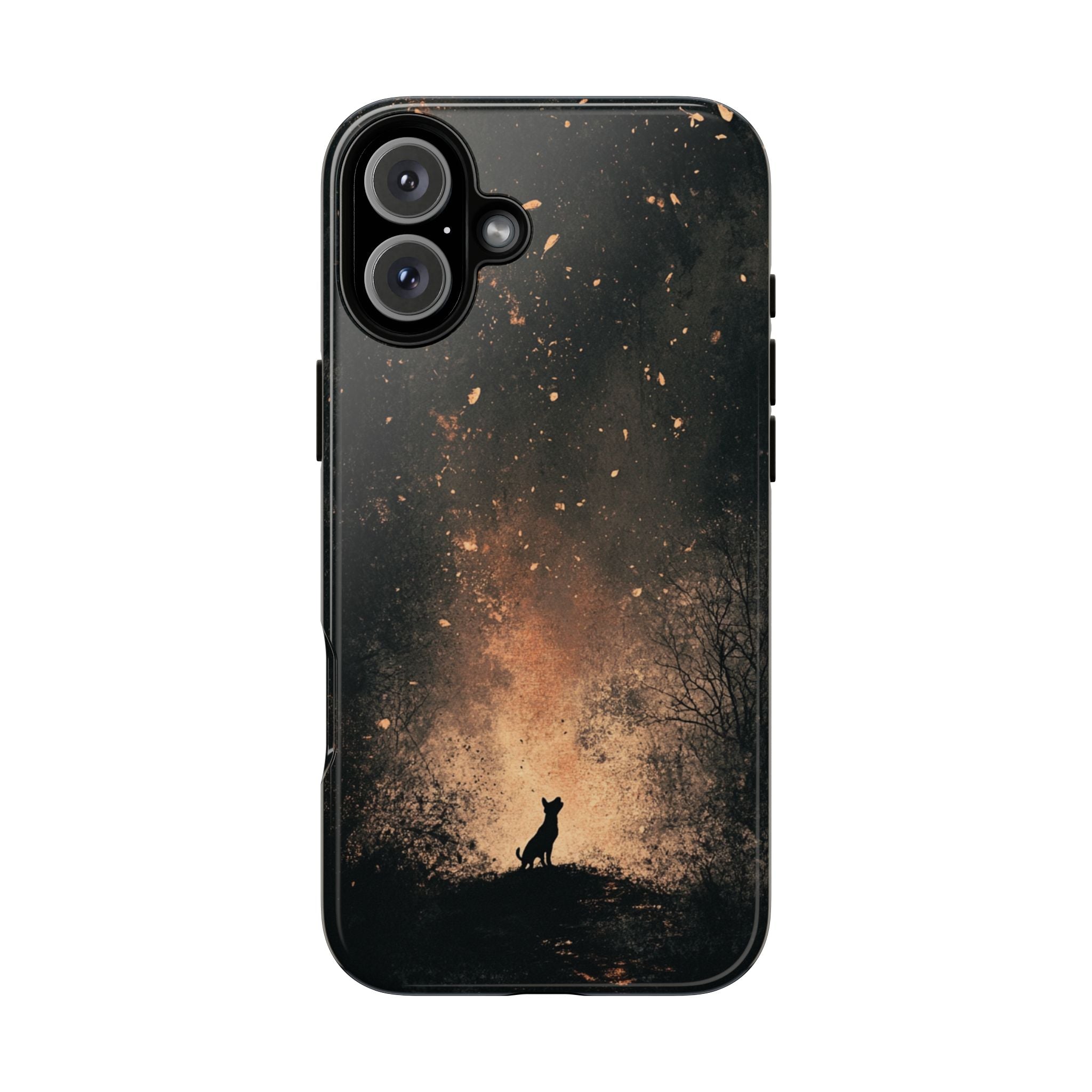 #Modell_ iPhone 16 Plus