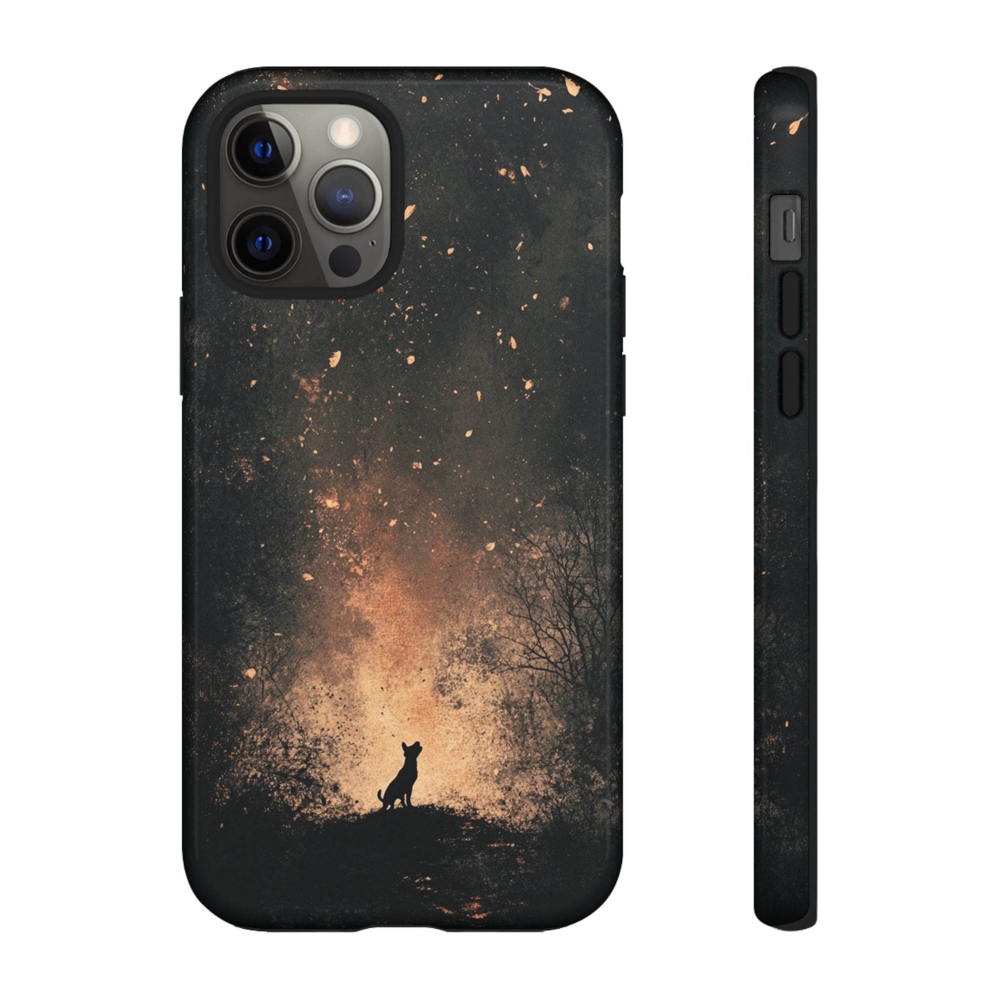 #Modell_ iPhone 12 Pro