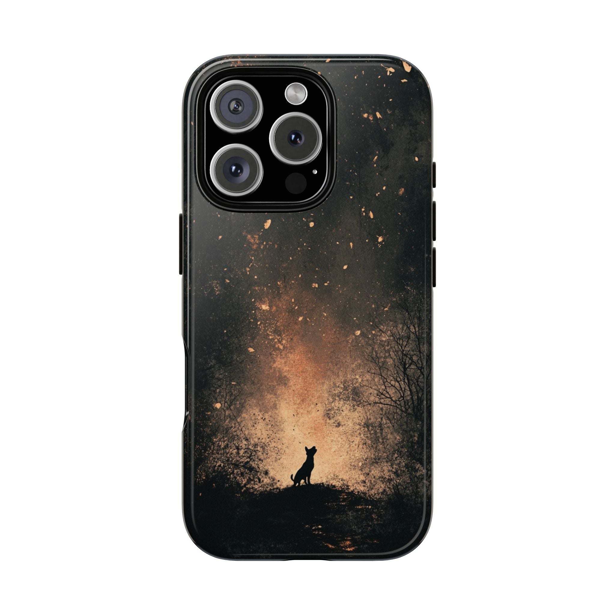 #Modell_ iPhone 16 Pro