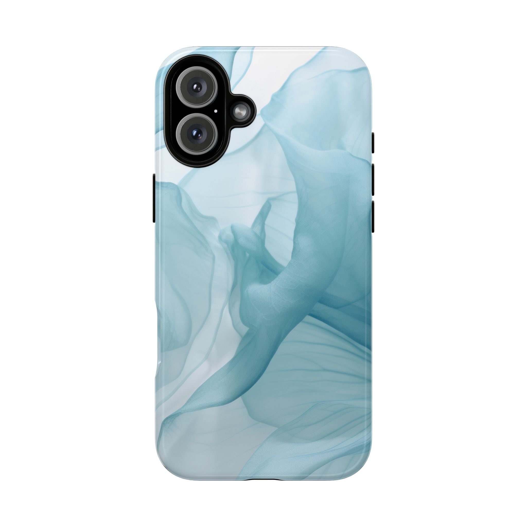 #Modell_ iPhone 16 Plus