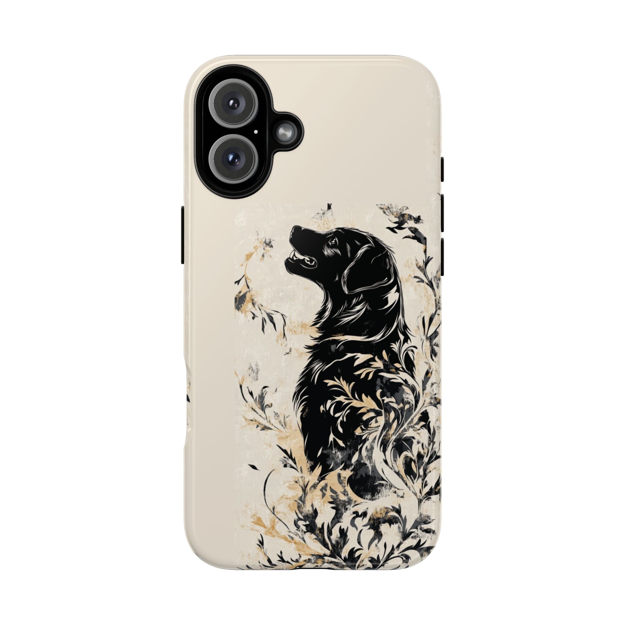 #Modell_ iPhone 16 Plus